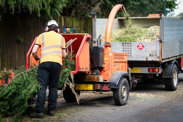 Best Hedge Trimming  in Centerville, CA