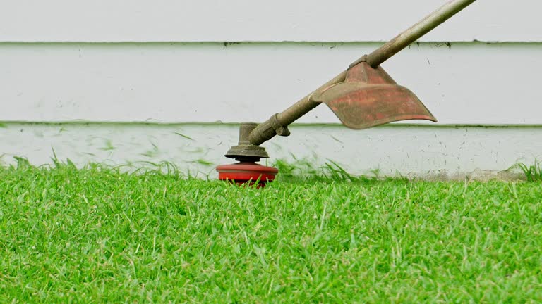 Best Lawn Grading and Leveling  in Centerville, CA